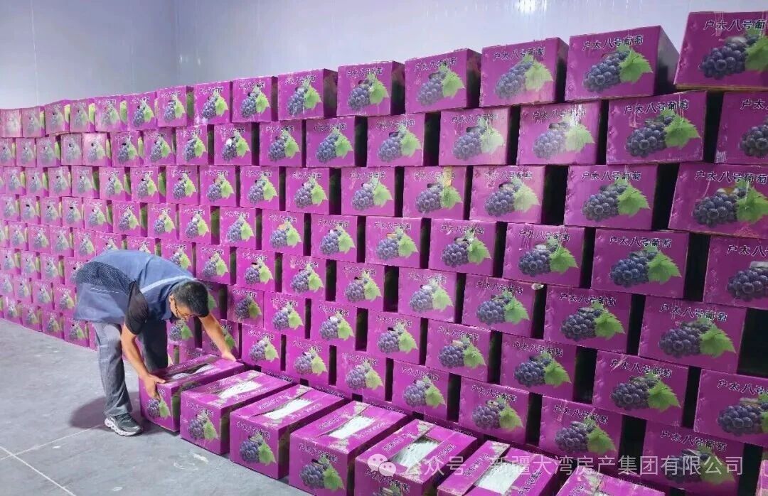 微信图片_2026-09-28_155454_390