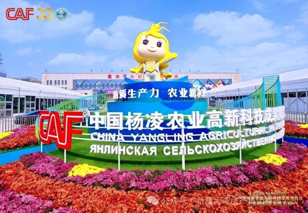 微信图片_2026-10-26_115413_726